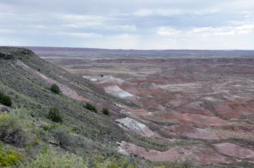 Park Road in the Painted Desert